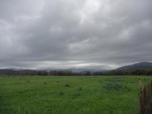 Les Prairies d'El Taref