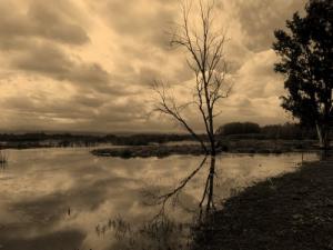 Lac Tonga ( Wilaya El Tarf )