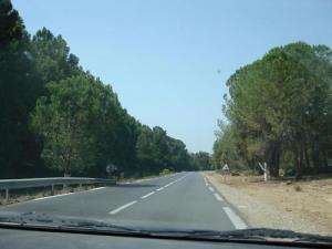 Sur la Route d'El-Kala
