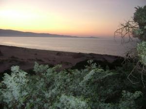 Les rives d'El Taref