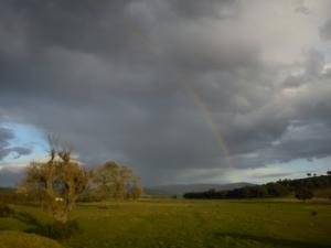 Arc en Ciel sur les Vertes Prairies d'El Taref