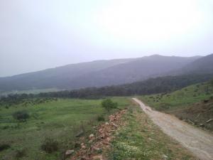 Sentier Montagneux traversant la verdure d'El Taref