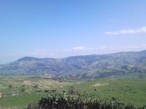 Les Montagnes de Taref