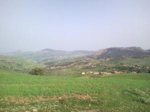 Les Vertes Prairies de Taref