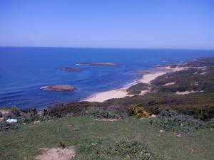 Bleu de la Côte d'El Kala