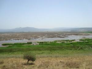 A l'Ouest du Lac Tonga, Oued El Houte