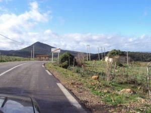 Sur la route de Oum Tboul