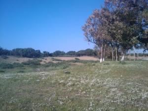 Les Prairies Fleuries de Taref