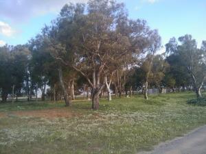 Les Prairies d'El Taref