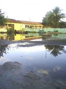 Une école Primaire de la wilaya de Taref