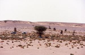 Camping aux abords de Tindouf