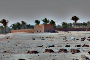 Une Palmeraie du Sahara Algérien