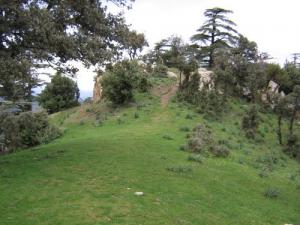 Paysage de Tissemssilt