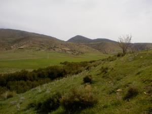 Verdure de Tissmesilt