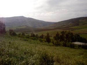 Verdure de Tissemsilt