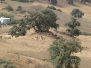 Makam Sidi Hadj Fkirin