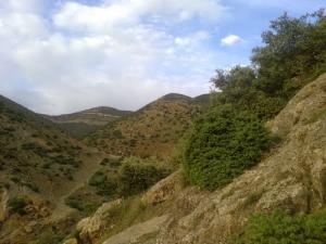 Les Forêts de Tissemsilt