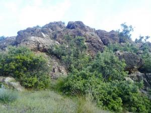 Verdure sur les Rochers