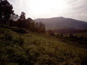 Paysage de Tissemsilt