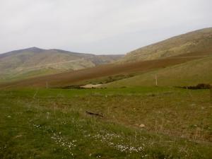 Verdure de Bordj Emir Abdel Kader