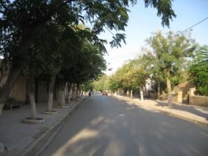 Une Allée à Jnan Ben Chrigui