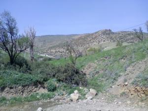 Verdure de Tissemsilt au Printemps