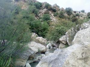 Paysage de Tissemsilt