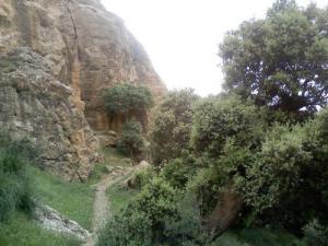 les Vertes Montagnes de Tissemsilt