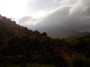 Les Vertes Montagnes de Tissemsilt