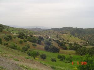 Verdure de Tissemsilt au Printemps