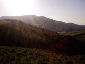 Verdure des Montagnes de Tissemsilt