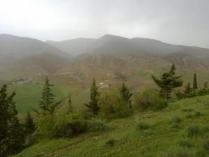 Verdure de Taza au Printemps