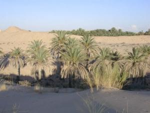 Une Oasis dans la commune de Ourmas