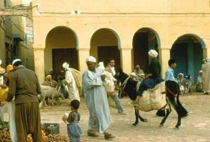 Marché Central d'El Oued