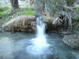 منظر طبيعي بضواحي واحة  فركان