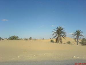 Paysage de la périphérie d'El-Oued