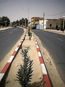 Boulevard Central de Hassani Abdelkrim