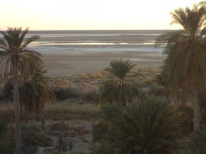 ????????Une Palmeraie de Hamraia