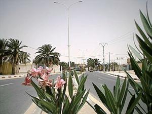 Boulevard Central de Hassani Abdelkrim
