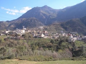 غابات منطقة  تامريجت  (1)