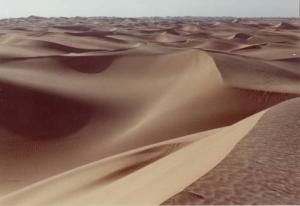Les Dunes aux abords d'El Oued