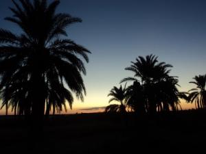 Coucher du Soleil sur Hamraia