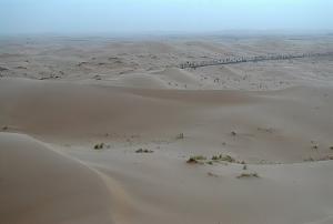 Paysage Saharien dans la périphérie d'El Oued