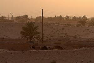Paysage aux abords de la ville d'El Oued