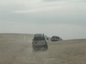 Tourisme à travers les Dunes d'El Oued