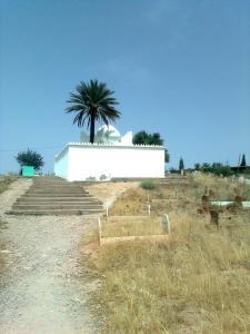 Paysage Naturel aux abords de Ourmas