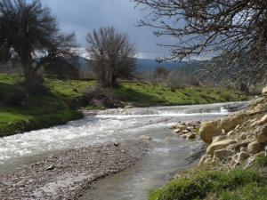 Une rivière de la commune de Yabous