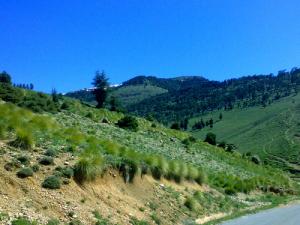 Chelia Batna Khenchela Aurès