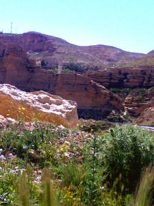 Paysage de de la commune de Djellal