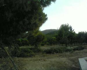 Paysage sur la route de Hammam Salhine